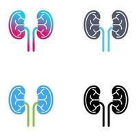 Kidney Vector Icon