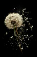 Dandelion seeds, tumbling through the air. AI generative photo