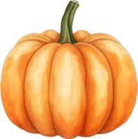 watercolor pumpkin painting AI Generative png