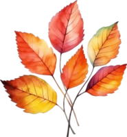 autumn harvest watercolor ai generate png