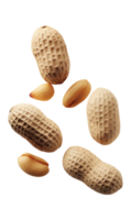 Peeled unpeeled and whole shell peanuts isolated on transparent background, png