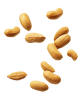 Falling peanuts isolated on transparent background, png