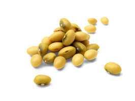 Soybeans isolated on transparent background, png