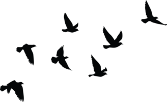 Flying birds silhouettes pattern wallpaper. PNG transparent. isolated bird flying. tattoo design. template for card, package, and wallpaper.