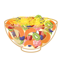 Obst Salat Illustration png