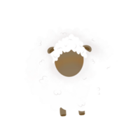 Illustration white sheep png
