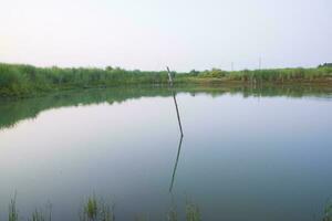 Lake water with green grass landscape view of under the blue sky photo