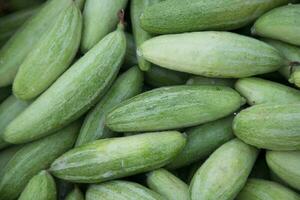 raw green pointed gourd texture background photo