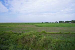 Natural Green Landscape view  field with blue sky photo