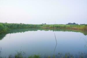 lago agua con verde césped paisaje ver de debajo el azul cielo foto