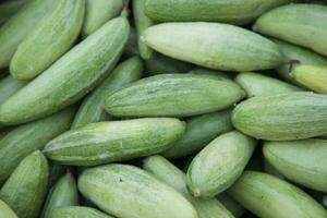 raw green pointed gourd texture background photo