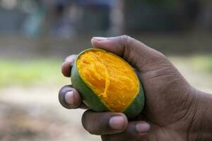 mano participación amarillo maduro mordedura mango Fruta con el borroso antecedentes foto