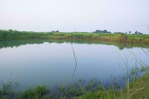 Lake water with green grass landscape view of under the blue sky photo