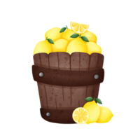 Lemons in wooden bucket png