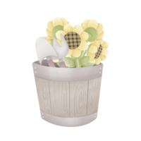 Sunflowers in a wooden bucket png