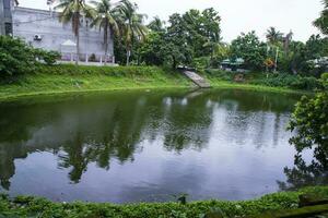 Small pond in the public park with coconut trees in the background photo