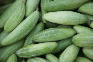 raw green pointed gourd texture background photo