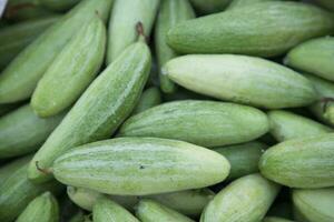 raw green pointed gourd texture background photo