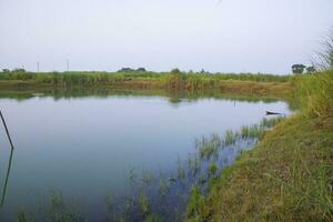 Lake water with green grass landscape view of under the blue sky photo