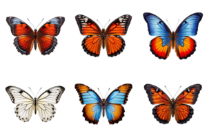 Collection of multicolored butterflies isolated on transparent background. ai generated png