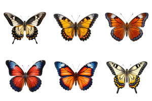 Collection of multicolored butterflies isolated on transparent background. ai generated png