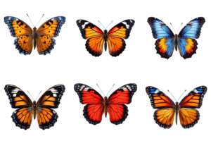 Collection of multicolored butterflies isolated on transparent background. ai generated png