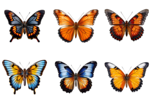 Collection of multicolored butterflies isolated on transparent background. ai generated png