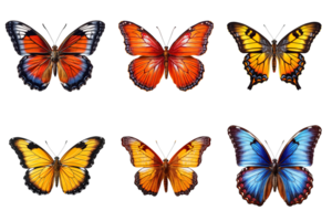 Collection of multicolored butterflies isolated on transparent background. ai generated png