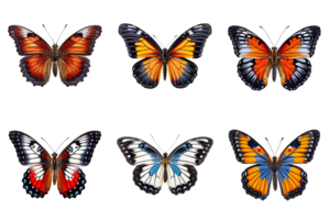 collection de multicolore papillons isolé sur transparent Contexte. ai généré png