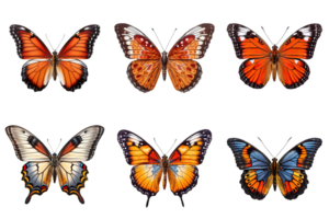 Collection of multicolored butterflies isolated on transparent background. ai generated png