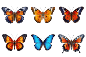 Collection of multicolored butterflies isolated on transparent background. ai generated png