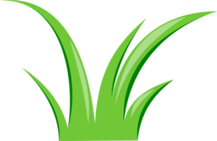 grass cartoon transparent background png