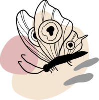 a beautiful esthetic butterfly lineart drawing png