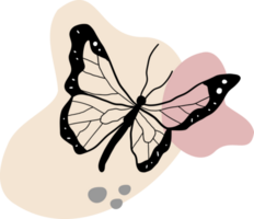 a beautiful esthetic butterfly lineart drawing png