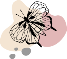 a beautiful esthetic butterfly lineart drawing png