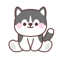 Cute siberian husky dog sitting.Animal cartoon character design. png