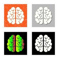 Brain Vector Icon