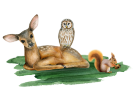 Watercolor baby deer, striped owl and squrrel on green grass illustration of cute forest woodland animals and bird for stickers and nursery kids designs png