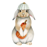 Watercolor Halloween bunny rabbit with a hat holding orange pumpkin illustration drawing for holiday season, thanksgiving day card, fall designs png