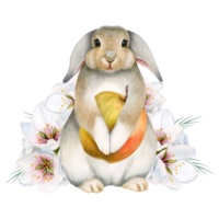 Watercolor bunny rabbit with apple fruit and pink white flowers illustration. Cute hand drawn hare for stickers, kids room nursery decor png