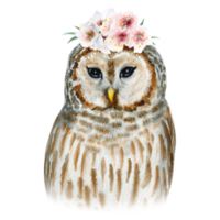 Barred striped owl bird portrait with pink flowers wreath watercolor illustration. Hand drawn forest owl clipart in brown and gray colors png