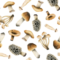 commestibile Marrone funghi acquerello senza soluzione di continuità modello. bosco foresta impianti illustrazione di biologico cucinando ingrediente per salutare ricettario ricette png