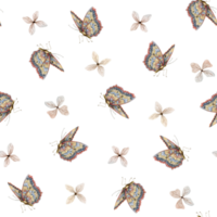 Watercolor butterflies and tiny beige flowers seamless pattern for summer and fall textiles, fabrics and designs png