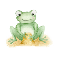 mignonne grenouille est en jouant dans le sable. le grenouille est séance. le grenouille personnage sur le plage. png