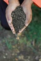 Indian farmer holding soil in hands, happy farming photo