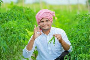 Indian Happy farmer holding green chilli , green chilli farming, young farmer photo