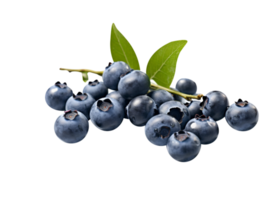 Bunch of fresh blueberries isolated on transparent background png