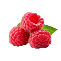 Fresh tasty raspberries isolated on transparent background png