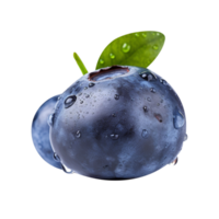 Fresh blueberries pair isolated on transparent background png