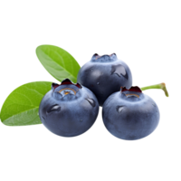 Fresh blueberries pair isolated on transparent background png